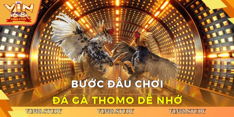 Bước đầu chơi Đá gà Thomo dễ nhớ