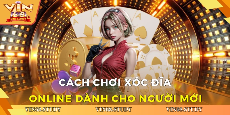 Cách chơi Xóc đĩa online dành cho người mới