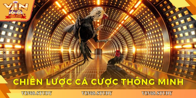 Chiến lược cá cược thông minh