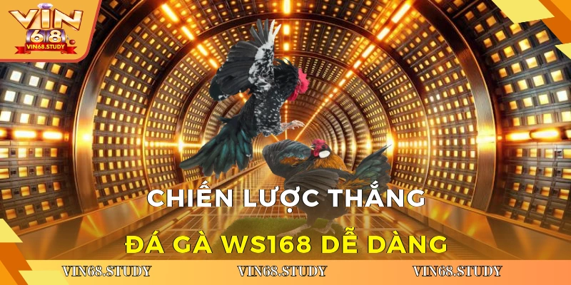Chiến lược thắng Đá gà WS168 dễ dàng