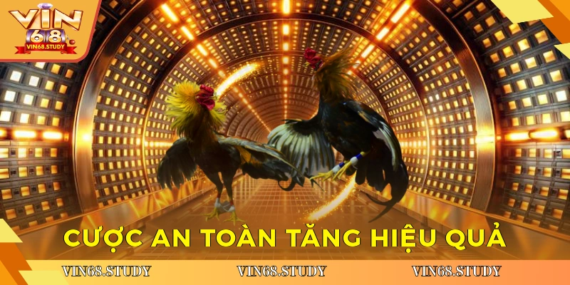 Cược an toàn, tăng hiệu quả