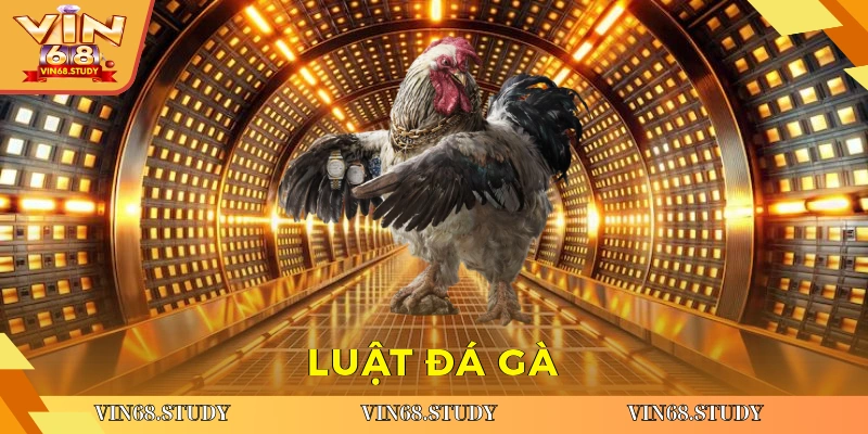 Luật đá gà