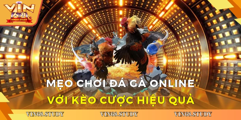 Mẹo chơi đá gà online với kèo cược hiệu quả