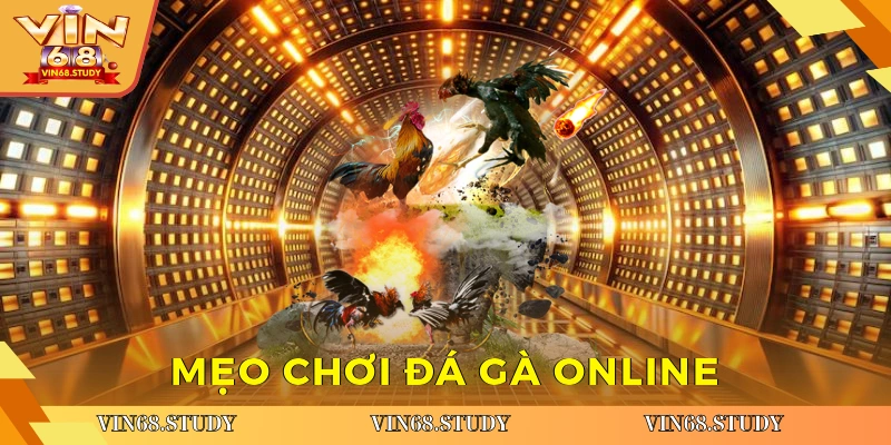 Mẹo chơi đá gà online