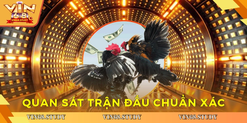 Quan sát trận đấu chuẩn xác
