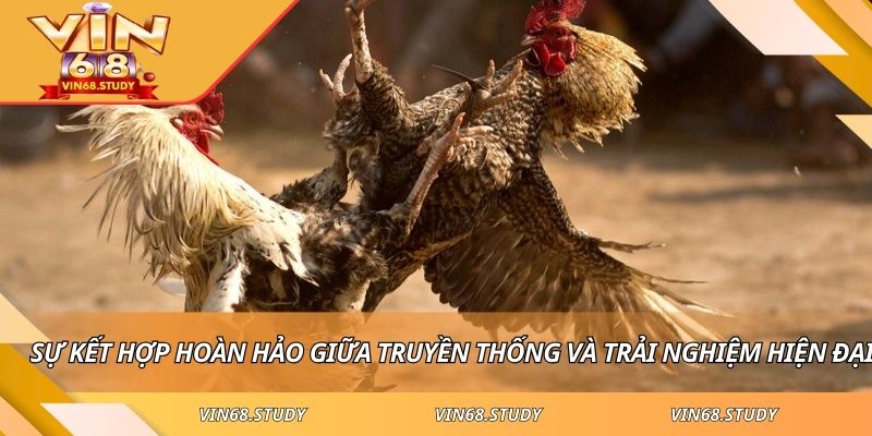 Sự kết hợp hoàn hảo giữa truyền thống và trải nghiệm hiện đại