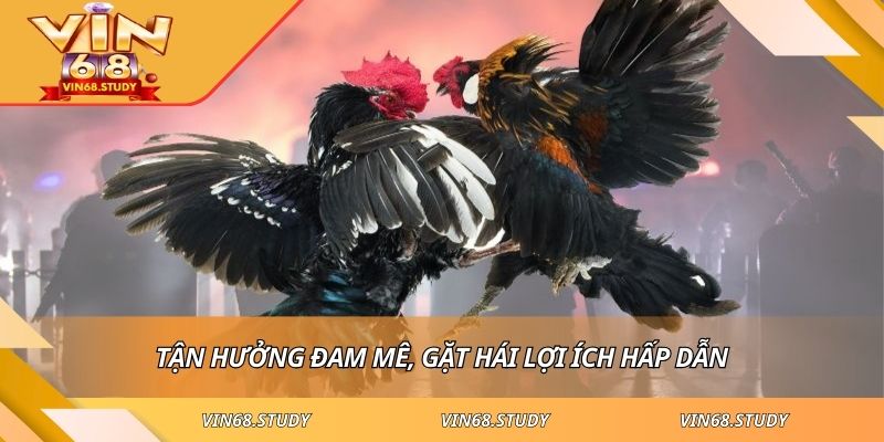 Tận hưởng đam mê, gặt hái lợi ích hấp dẫn