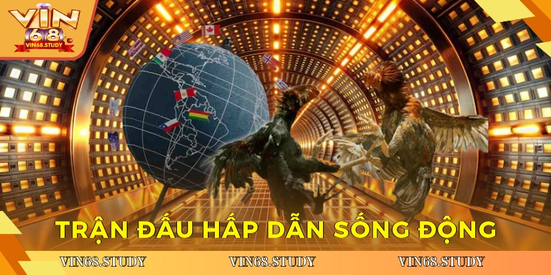 Trận đấu hấp dẫn sống động