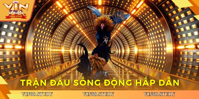 Trận đấu sống động hấp dẫn